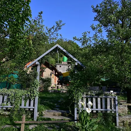 Himalayan Mud Resort-3