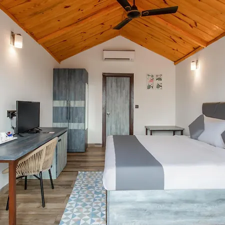 Stone Wood Beach Resort- A Party Hotel-2