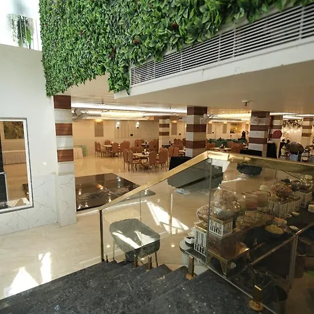 The Grand Oasis Hotel & Resort I Near India Expo Mart-3