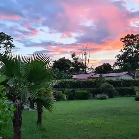 Alaya Resorts & Spa-3