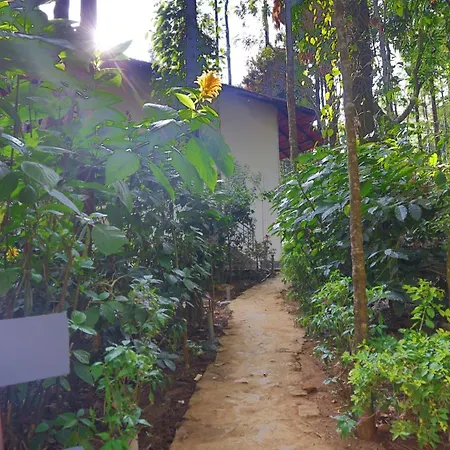 The Spectrum Resort - Chikmagalur-3