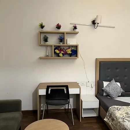 Golden Palms Studio Apartment-2