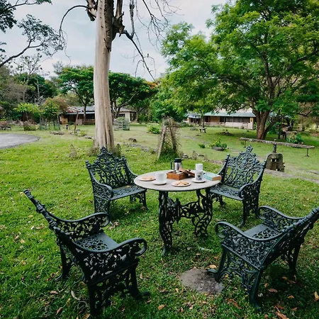 Jungle Hut Resort-3
