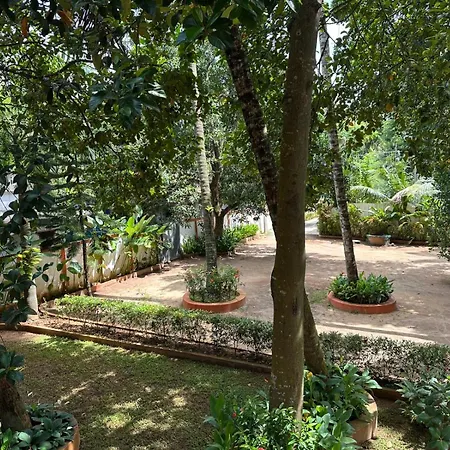 Vala House-2