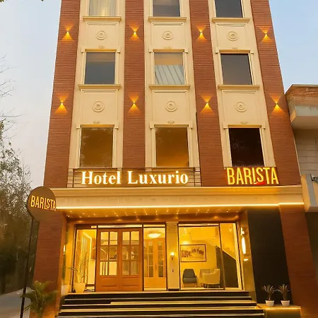 Hotel Luxurio - In-House Barista Cafe, Near Golden Temple Amritsar-3