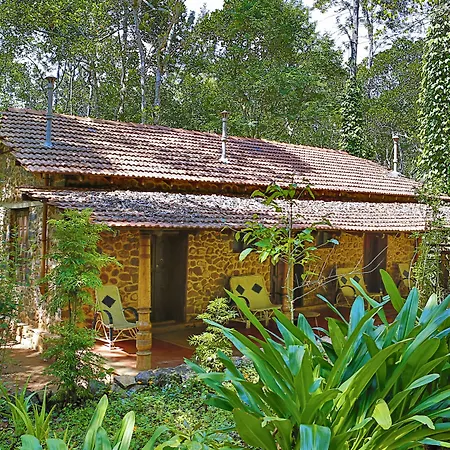 Elephant Valley Eco Farm Hotel-3