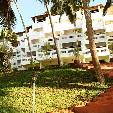 Soma Palmshore-3
