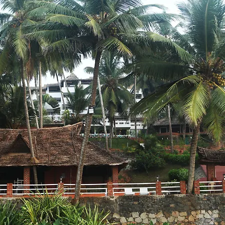 Soma Palmshore-2