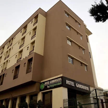 Hotel Gandharva- A Green Hotel-3
