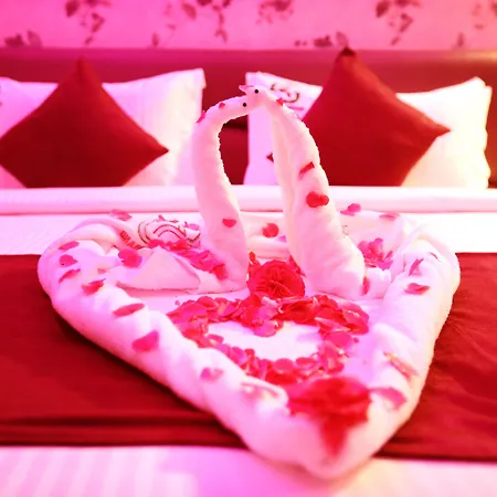 Hotel Sai Krish Grand-3