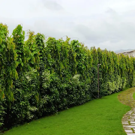 Corbett Panorama Resort-2