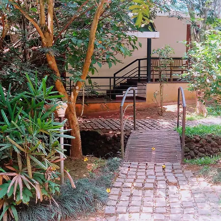 Vythiri Greens Holiday Resort-3