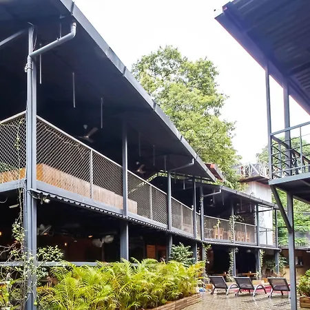 Treebo Trend Beach Box Hotel-2