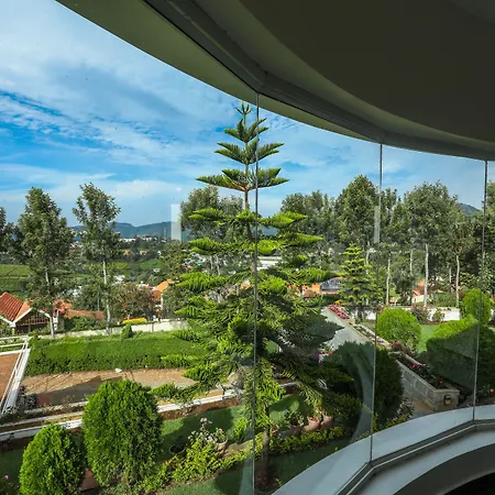 Twin Tree-2