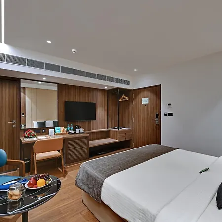 Hotel Suba Star Ahmedabad-2