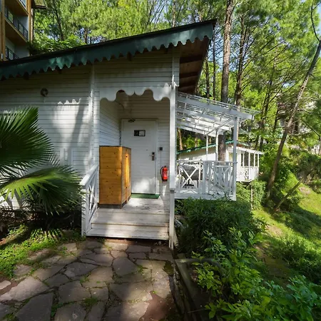Kasauli Hills Resort-3