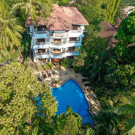 Olive Hotel Alidia Beach Resort By Embassy Group-3