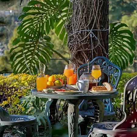 8Fold-Pinecrest By Larisa, Bhimtal-3