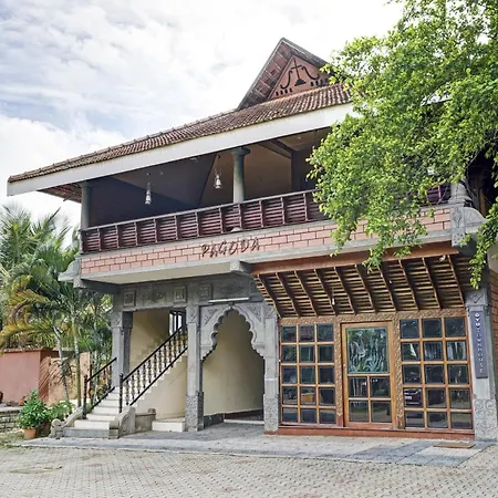 Palette - Pagoda Resorts-3