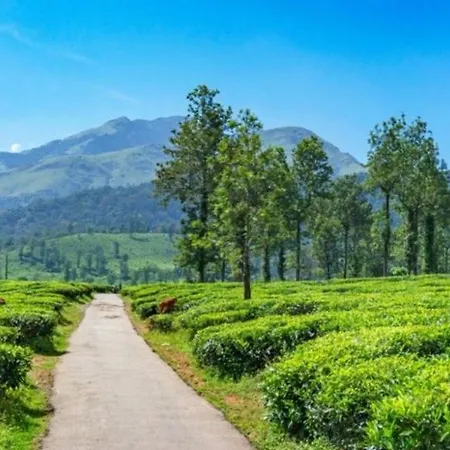 Bhuvi Wayanad Nature Retreat - Near Forest With Activities, Ideal For Couples-3