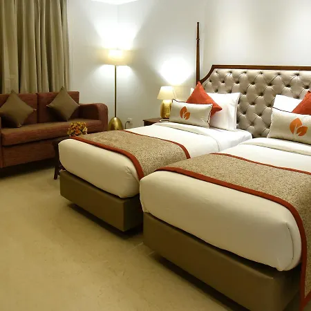 The Exotica Grand-3