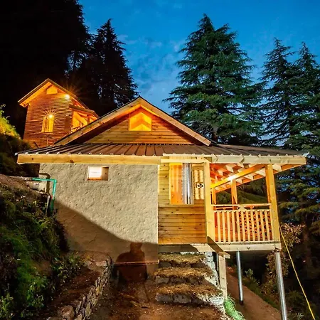 Mid Conifer Cottage-3
