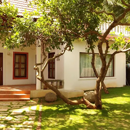 Sun Farm House-2