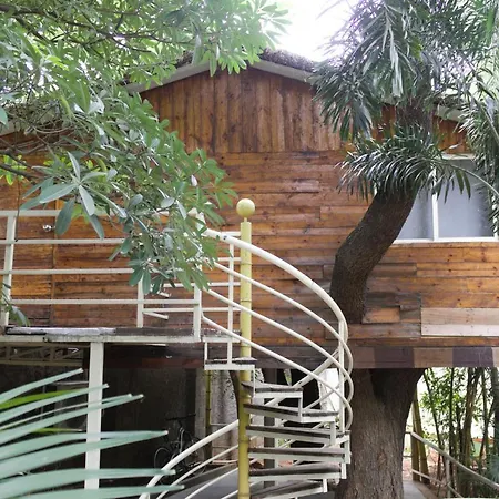 Mrugavani Resort & Spa-3