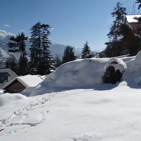 Hotel Mountain Trail Manali-3