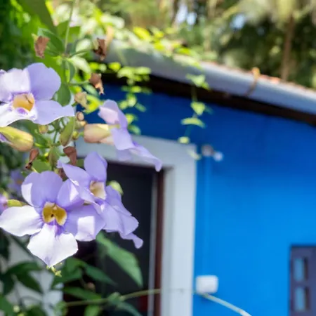 Villa Khatun Guesthouse - Peaceful Boutique Guesthouse Near Fontainhas In Panjim-2