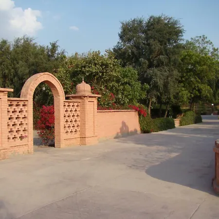 Gaj Kesri-3