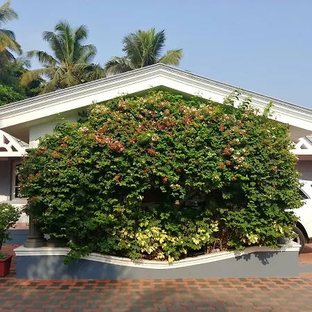The Cute Resort-3