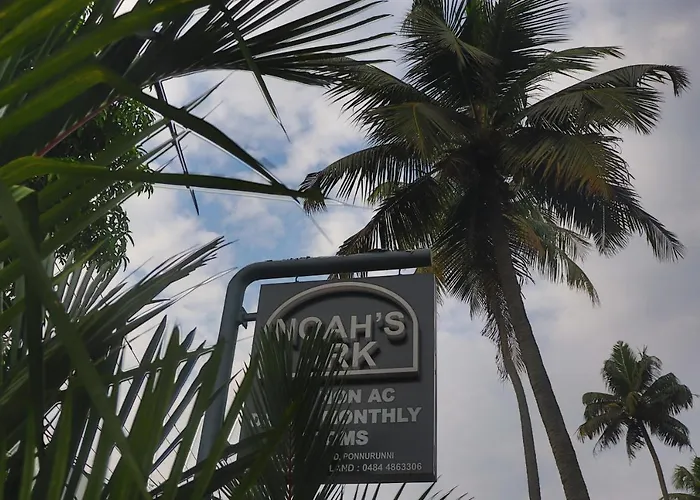 Noah'S Ark