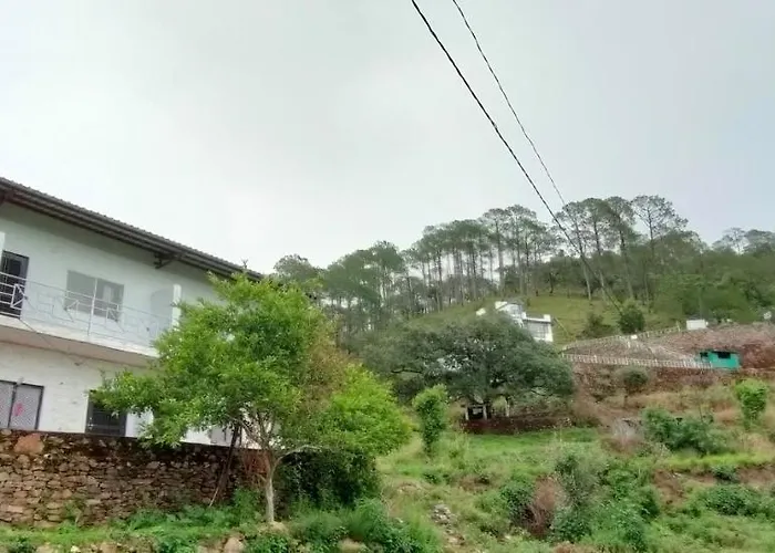 The Green Pine Cottage