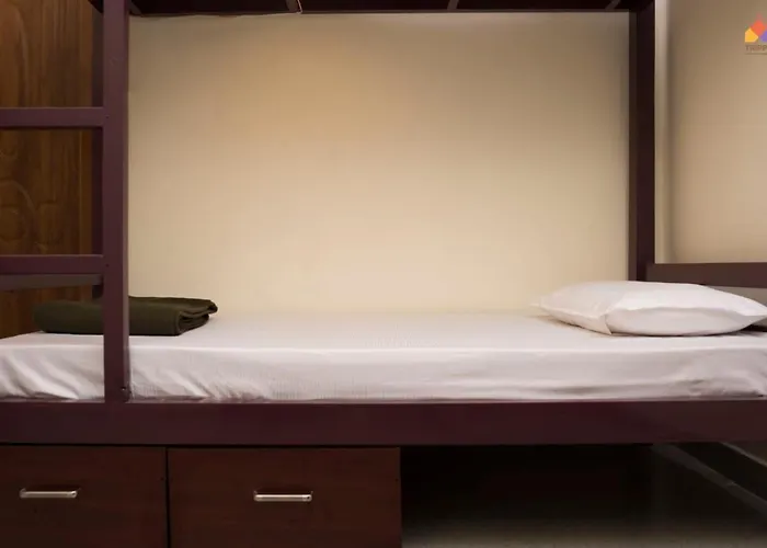 Trippr Kodaikanal Backpacker Hostel