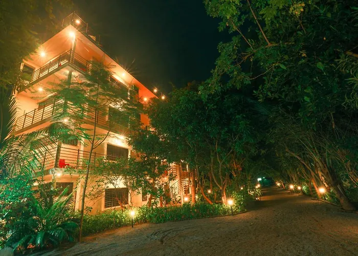 The Canopy Guest House
