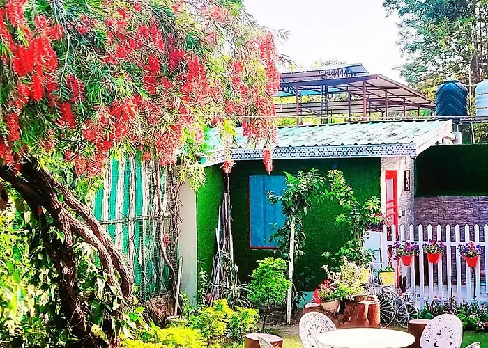 Olive Greens Homestay
