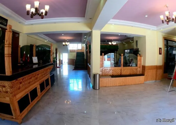 Hotel Zojila Residency
