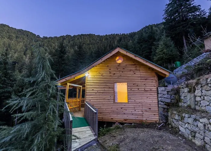 Mid Conifer Cottage