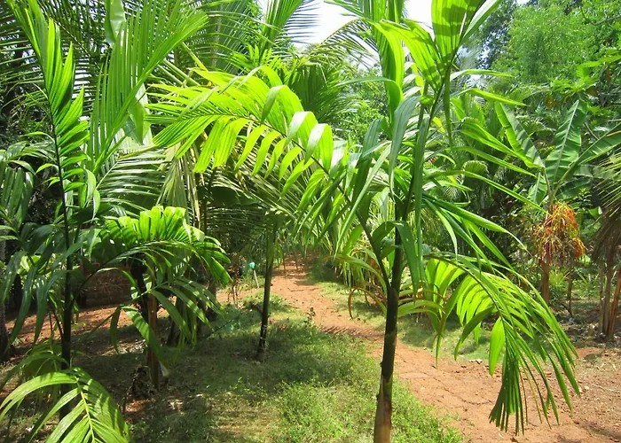 Namaste Yoga Farm