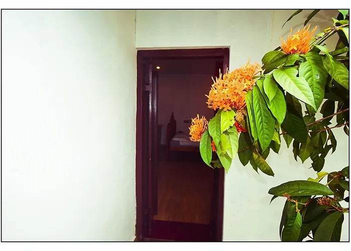 Munroe Inn Homestay