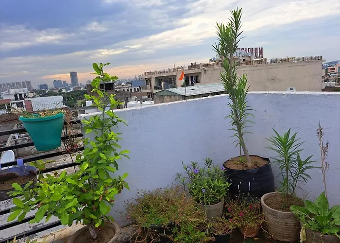 Private Room With Sky Garden In Green Bacchus By Walias