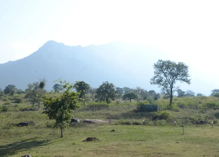 Aarraams Farms & Resorts