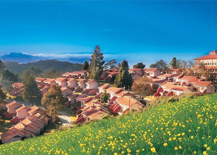 Ooty Boutique Hotels