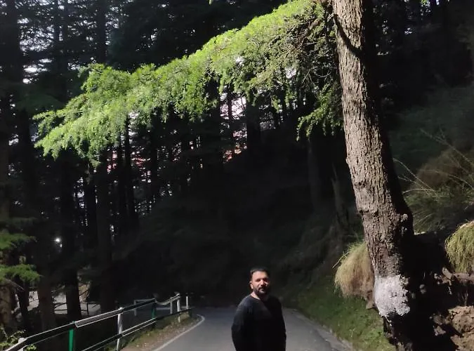 Shimla Abode