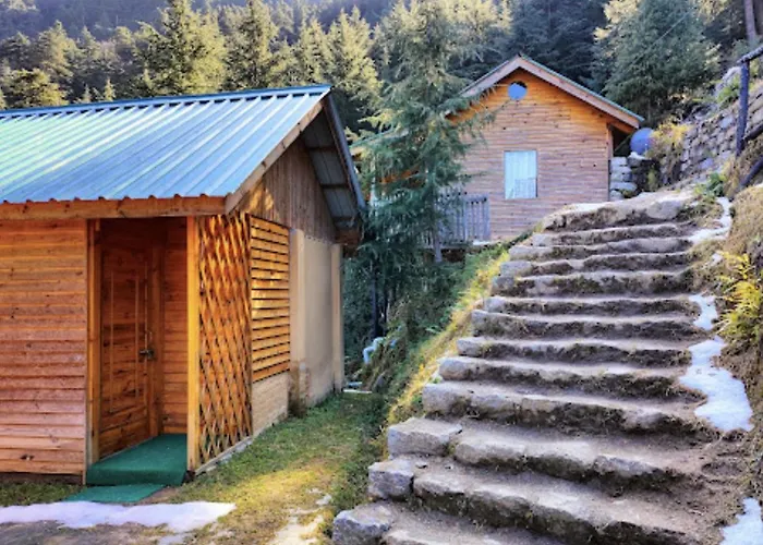 Mid Conifer Cottage