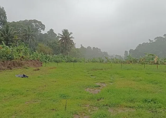 Nature River Camp