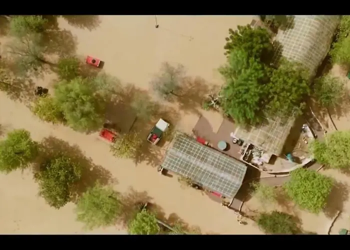 Umaid Desert Camp, Raisar