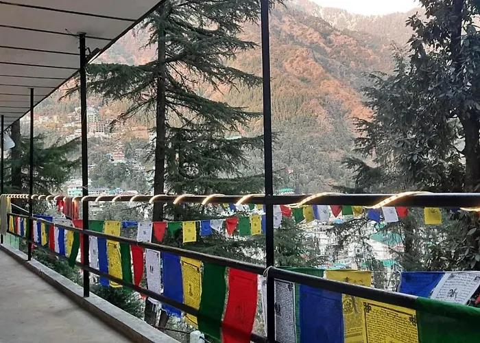 Thrillomania Mcleodganj