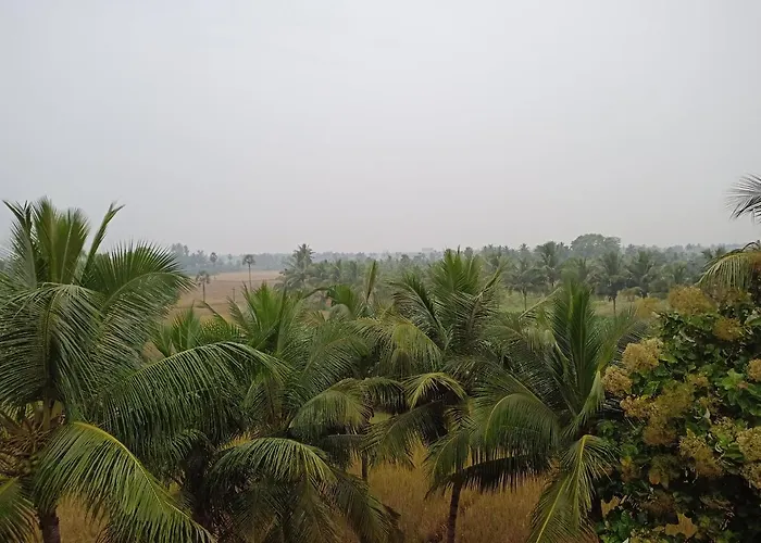 Gangi Kota North Flat